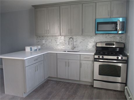 🏡 Great Rental Opportunity – Colonial multi-family House in the Heart of Mineol